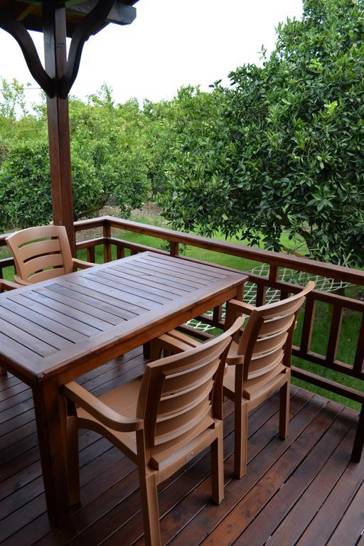 Villa Bilge Çıralı Rom bilde
