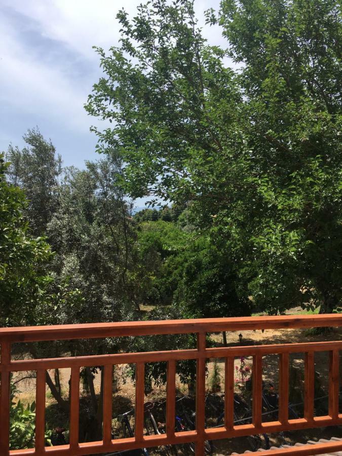 Villa Bilge Çıralı Eksteriør bilde