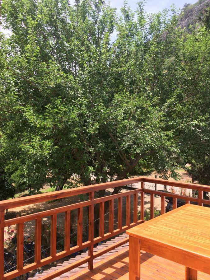 Villa Bilge Çıralı Eksteriør bilde