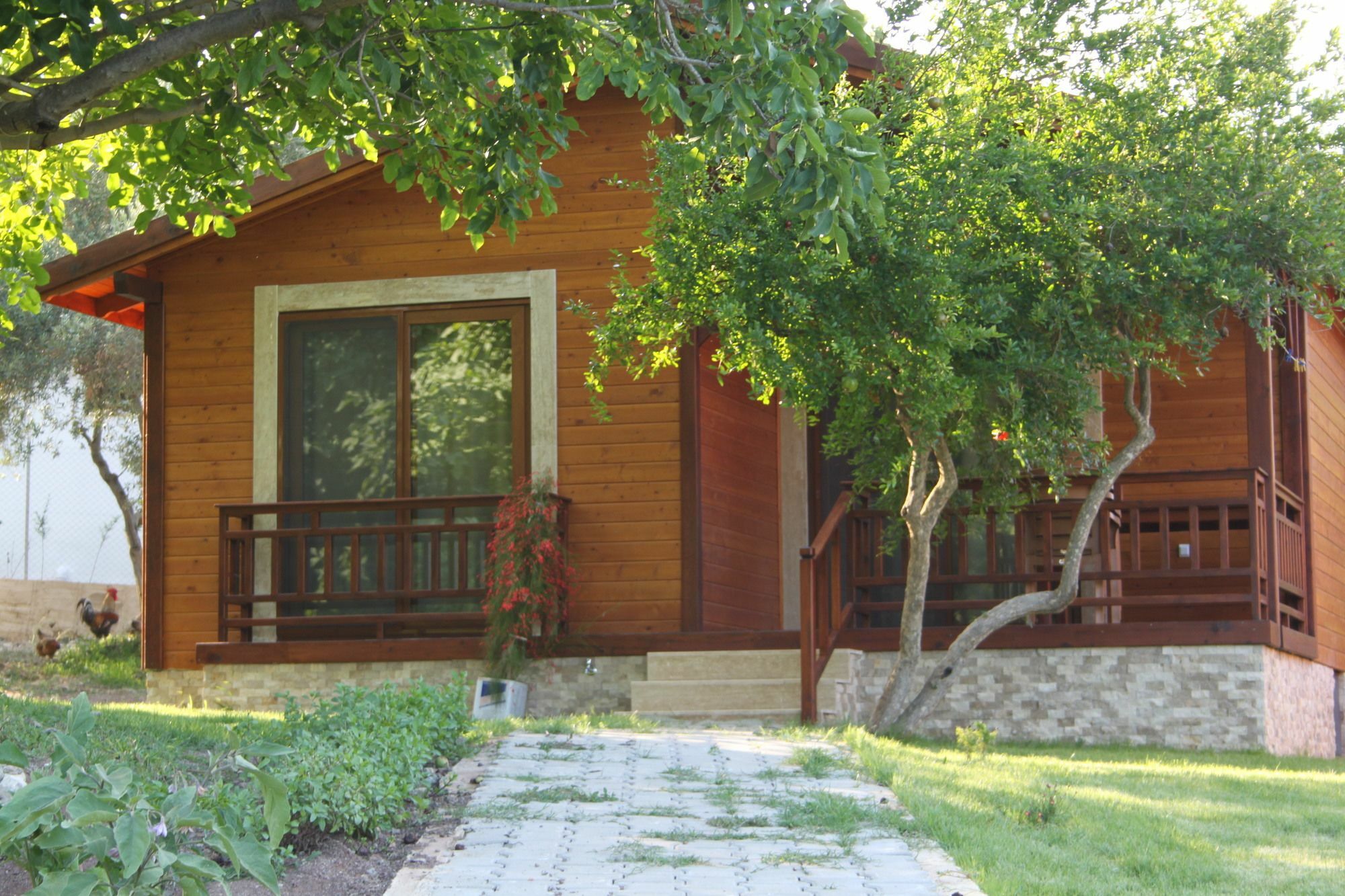 Villa Bilge Çıralı Eksteriør bilde