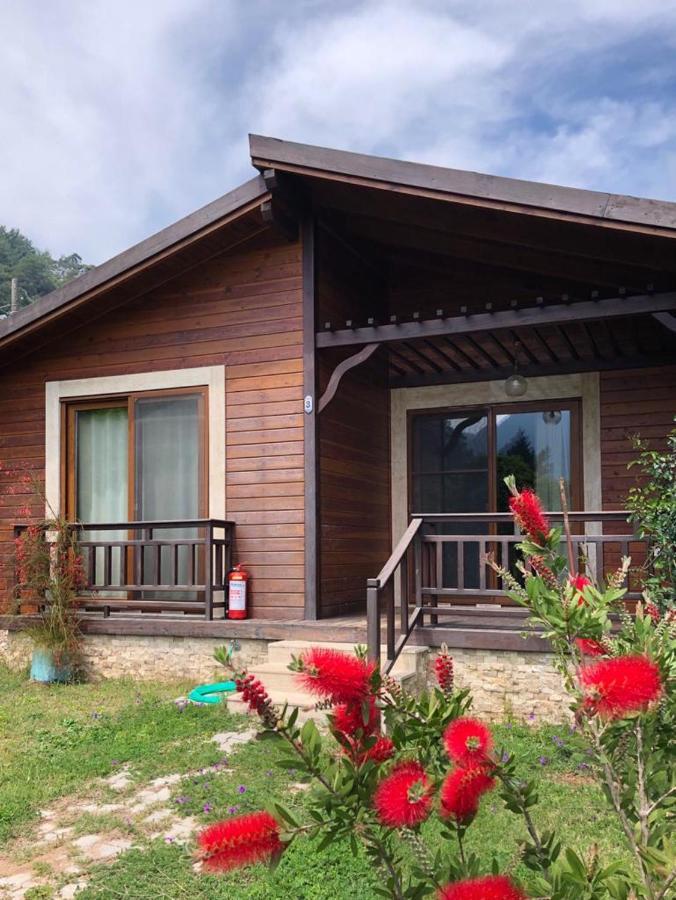 Villa Bilge Çıralı Eksteriør bilde