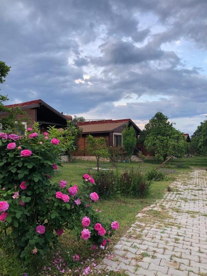 Villa Bilge Çıralı Eksteriør bilde